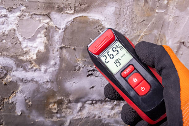 Professional Mold Remediation in Dacula, GA